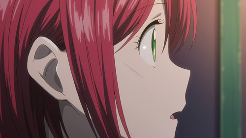 Shirayuki's eyes widen in reaction